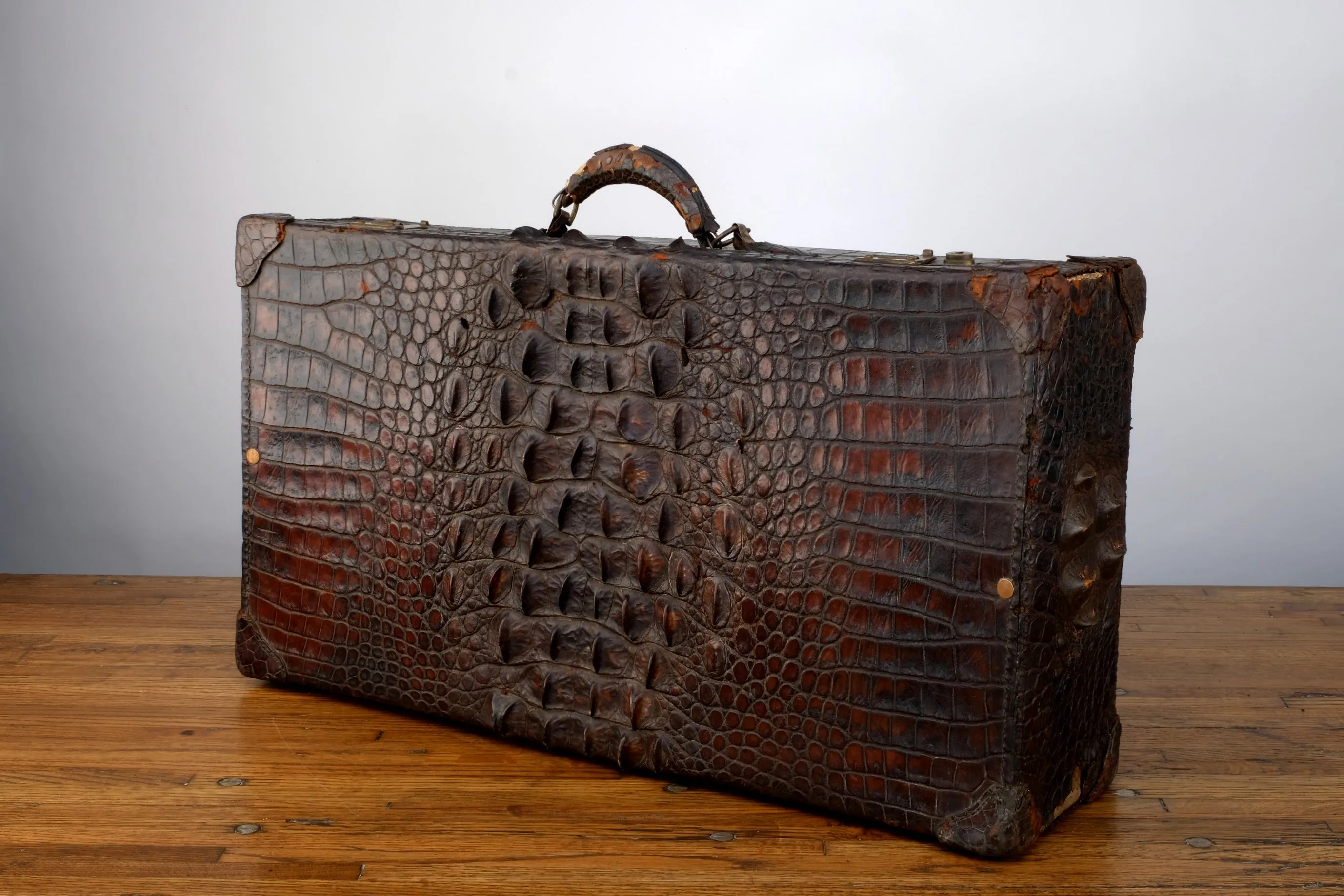 CROCODILE LUGGAGE