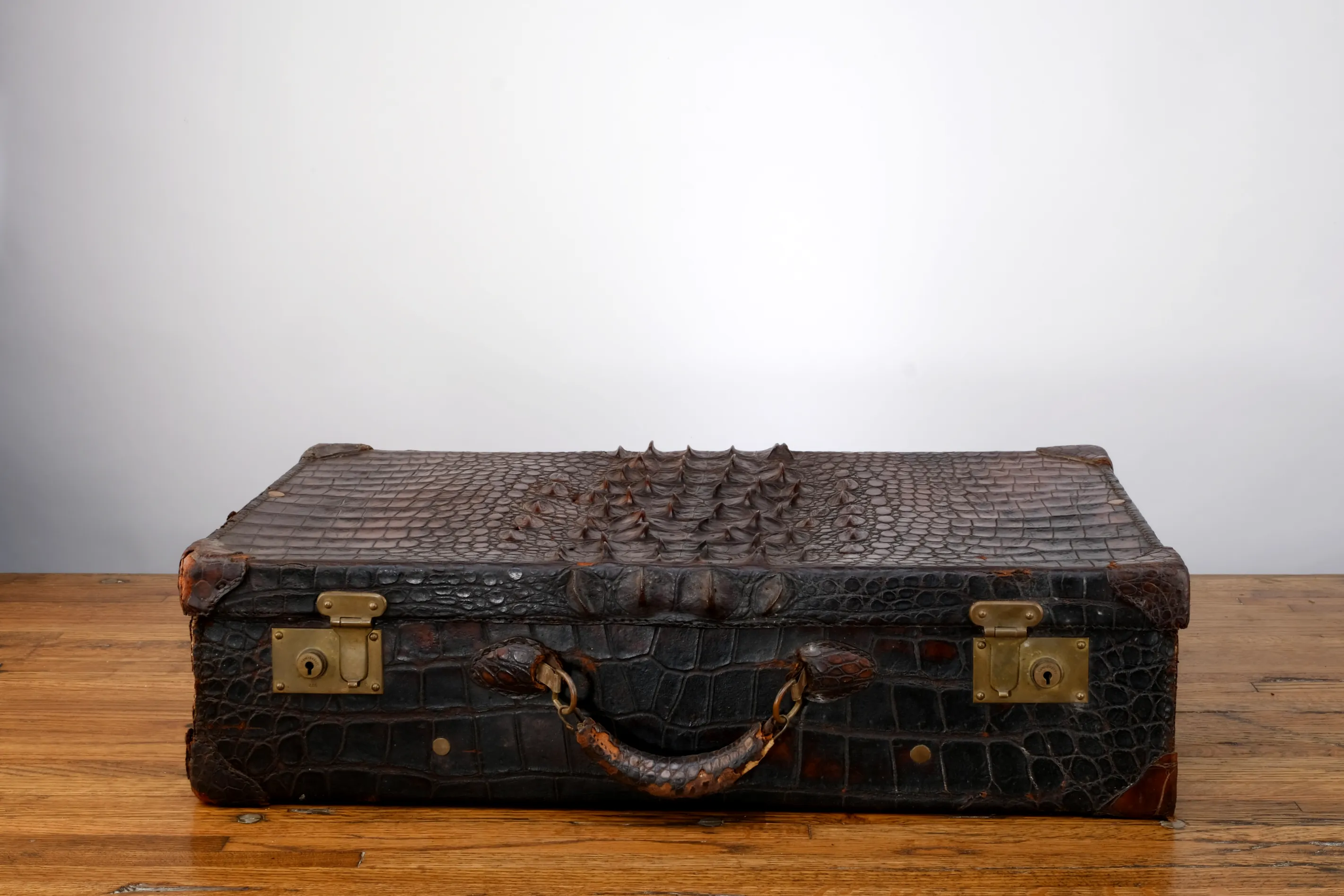 CROCODILE LUGGAGE