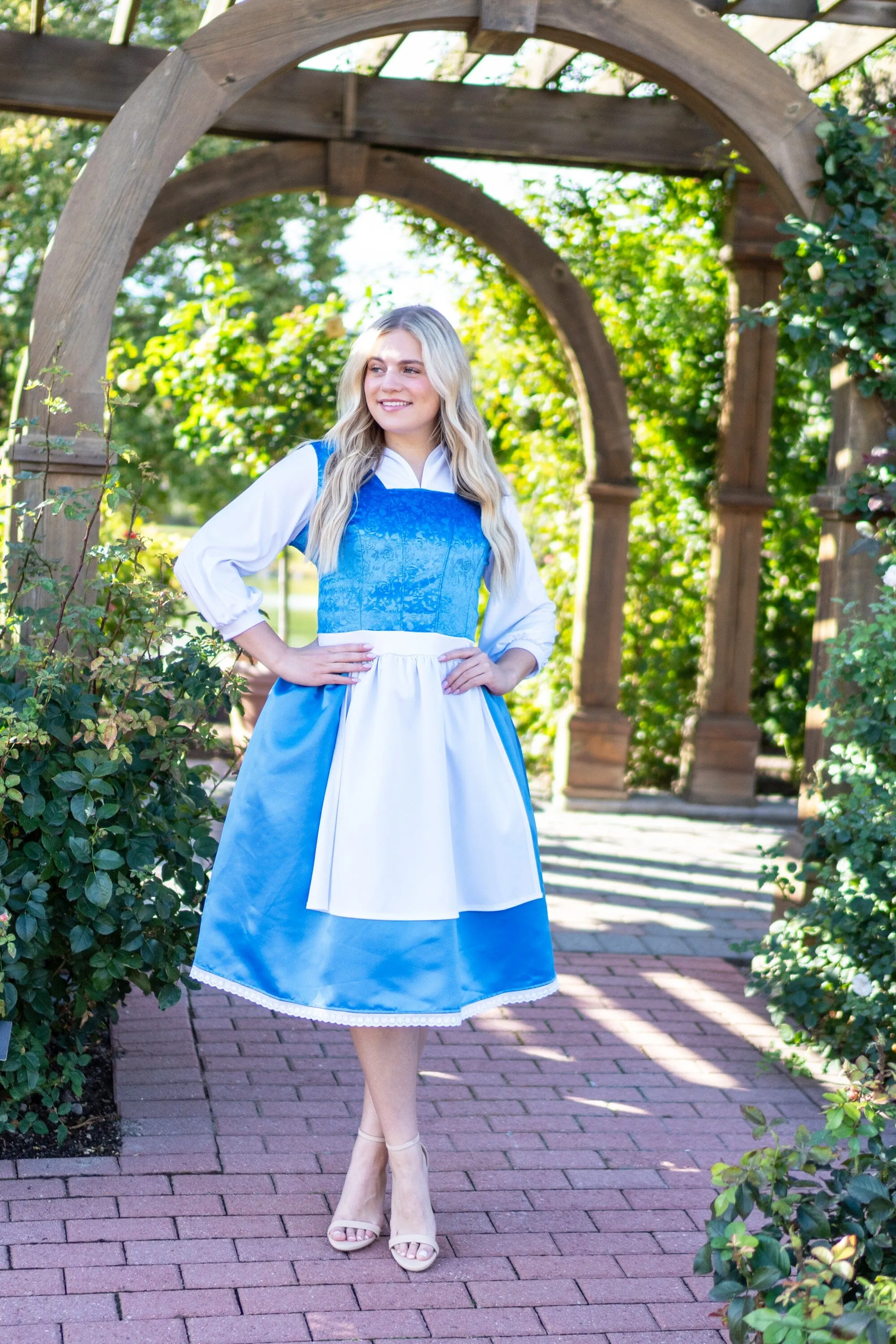 Enchanted Beauty Day Dress