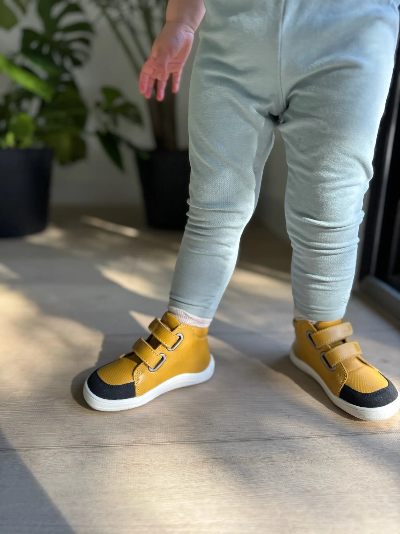 Febo Fall shoe by Baby Bare