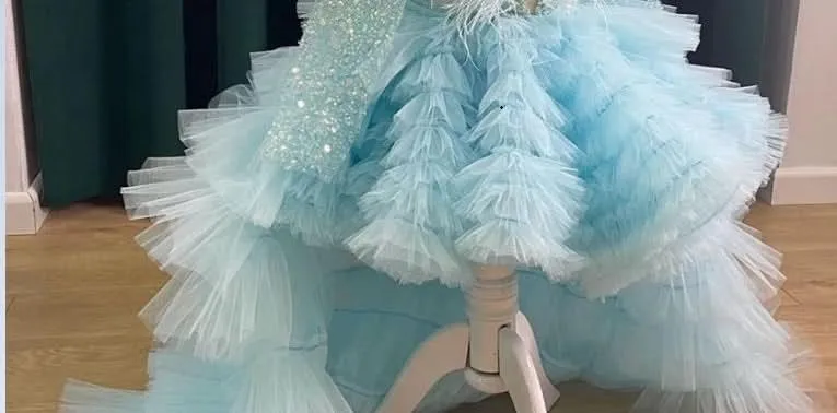 Long Sleeve Sequin Feather High End Cake Dress Fluffy Party Girl Princess Dress