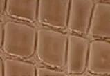 Patent Alligator Faux Leather - Medium Pattern - Tan