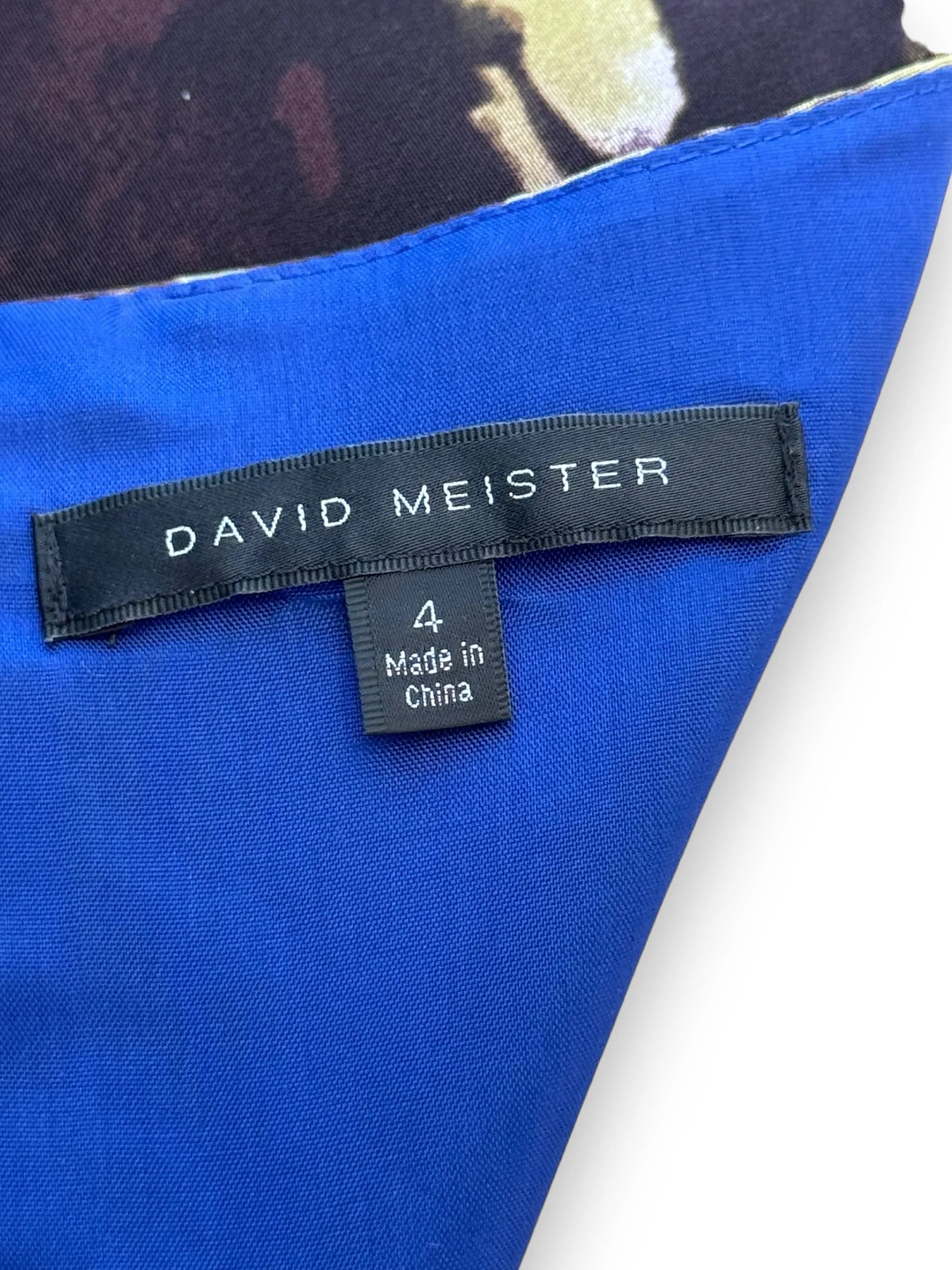 Size 4 David Meister Multi-Color Dress