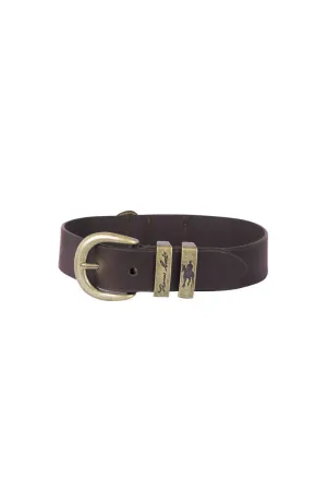 TCP7921COL Thomas Cook Twin Keeper Dog Collar Chocolate